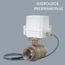 Кран с электроприводом   1"  12v  Gidrolock PROFESSIONAL BG/EN
